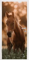 Deursticker Paard - Licht - Landschap - 85x215 cm - Deurposter