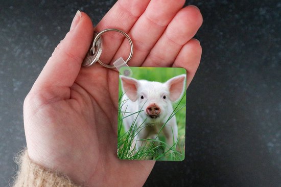 Porte-clés - Cochon - Animaux - Porcelet - Cadeaux à distribuer - Plastique - Cadeaux Sinterklaas - Cadeaux à distribuer pour les enfants - Cadeaux chaussures - Petits cadeaux