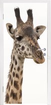 Deursticker Giraffe - Dier - Wit - 95x215 cm - Deurposter
