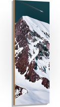 WallClassics - Hout - Vliegtuig boven Landschap met Sneeuwbergtoppen - 40x120 cm - 12 mm dik - Foto op Hout (Met Ophangsysteem)