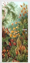 Deursticker Natuur - Design - Paddenstoelen - Ernst Haeckel - 90x235 cm - Deurposter