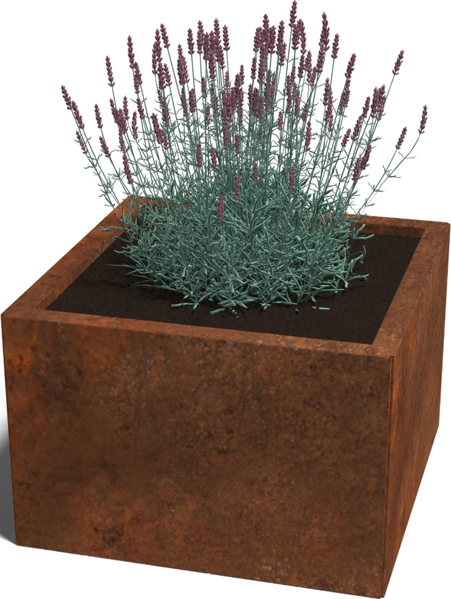 Cortenstaal plantenbak - Vierkant - 60x60x60cm - Roestkleur - Zonder bodem - MySteel