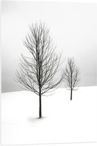 WallClassics - Acrylglas - Twee Kale Bomen in Sneeuwlandschap - 70x105 cm Foto op Acrylglas (Met Ophangsysteem)