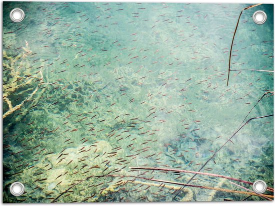 WallClassics - Tuinposter – School Vissen in Helder Lichtblauw Water - 40x30 cm Foto op Tuinposter  (wanddecoratie voor buiten en binnen)