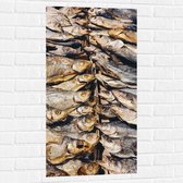 WallClassics - Muursticker - Verse Vissen op een Vismarkt - 50x100 cm Foto op Muursticker