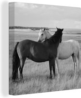 Canvas schilderij - Dieren - Paarden - Gras - Natuur - Woondecoratie - Canvas - 20x20 cm - Foto op canvas - Woonkamer