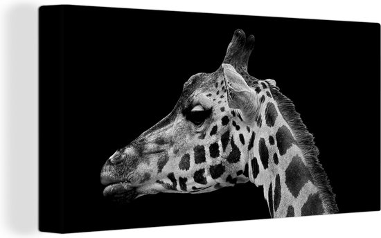Canvas schilderij - Dieren - Giraffe - Zwart - Wit - Canvas doek - 40x20 cm - Wanddecoratie - Foto op canvas