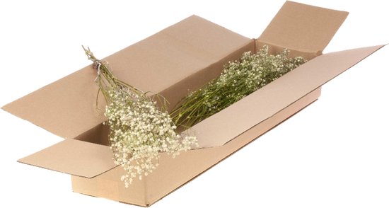 Gypsophila Gedroogd bloemenarrangement, gedroogde bloemen, decoratieve droogbloemen, 40-44 cm, decoratieve gedroogde bloemen voor vaas voor bruiloft, feest, boho-decoratie