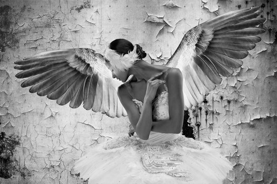 glasschilderij - ballerina - danseres - met vleugels - 120x80cm - zwart wit - Ter Halle