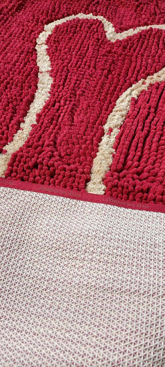 1 x de Dirty Dog Droogloopmat - Hond - Rood - 90x66 cm