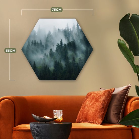 Hexagon wanddecoratie - Kunststof Wanddecoratie - Hexagon Schilderij - Mist - Bomen - Bos - 75x65 cm