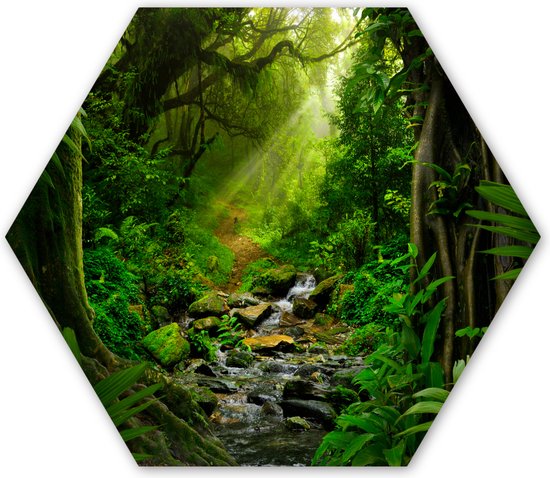 Hexagon wanddecoratie - Kunststof Wanddecoratie - Hexagon Schilderij - Jungle - Water - Bladeren - Zon - Natuur - 120x103 cm