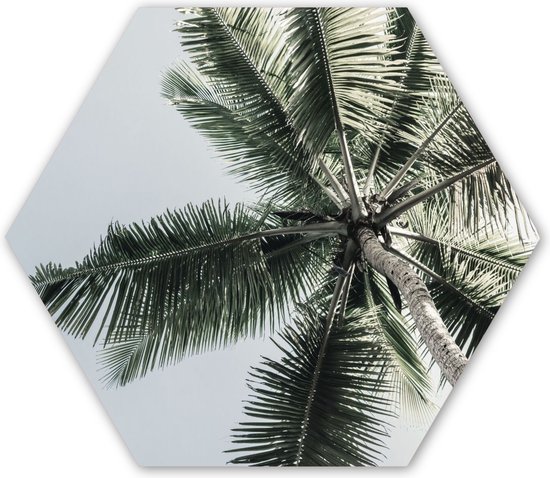 Hexagon wanddecoratie - Kunststof Wanddecoratie - Hexagon Schilderij - Palmboom - Tropical - Zomer - 120x103 cm