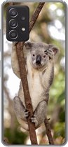 Geschikt voor Samsung Galaxy A53 5G hoesje - Koala - Takken - Dier - Kinderen - Jongens - Meiden - Siliconen Telefoonhoesje