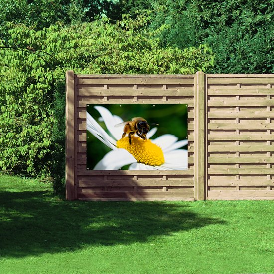 WallClassics - Poster de jardin - Abeille sur marguerite - 150 x 100 cm Photo sur poster de jardin (décoration murale pour extérieur et intérieur)