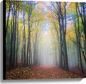 WallClassics - Canvas  - Mist aan het Einde van het Bos - 60x60 cm Foto op Canvas Schilderij (Wanddecoratie op Canvas)