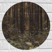 WallClassics - Muursticker Cercle - La Forêt - 40x40 cm Photo sur Muursticker