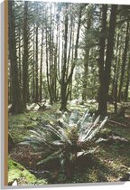 WallClassics - Hout - Grote Groene Varenplant in Bos - 60x90 cm - 12 mm dik - Foto op Hout (Met Ophangsysteem)