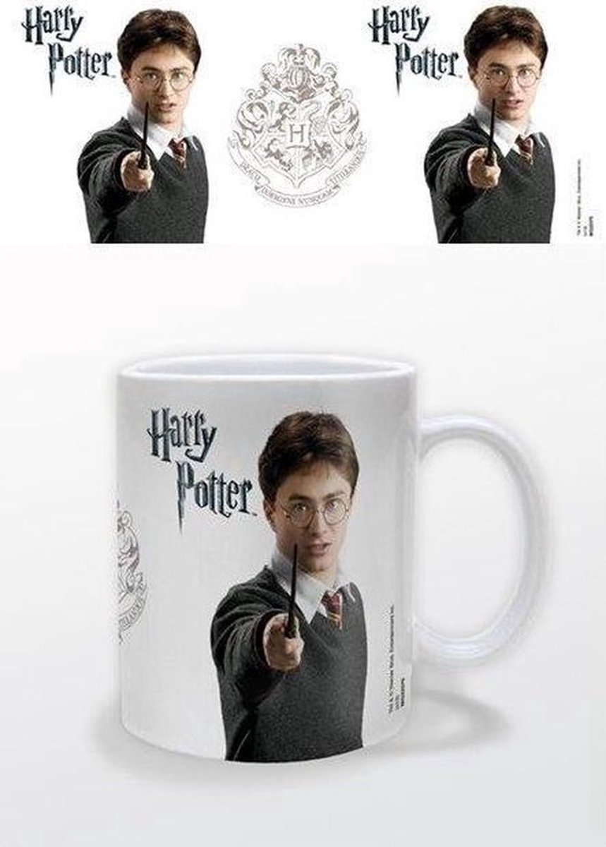 Harry potter - coffret cadeau mug et vif d'or, petits cadeaux