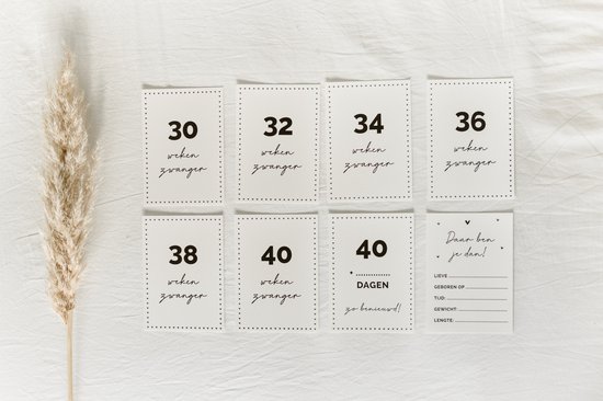 20x hippe mijlpaalkaartjes zwangerschap (A6 formaat) - milestone pregant cards - cadeau zwangerschap - kado zwangerschap - babyshower cadeau - hoera zwanger - zwangerschapsverlof - kraamcadeaus - mijlpaalkaarten zwangerschap