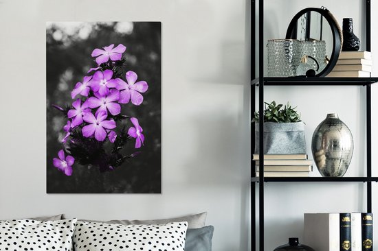 Peintures sur Toile Fleurs - Violet - Zwart - Wit - 40x60 cm - Décoration murale