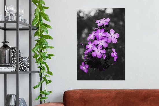 Peintures sur Toile Fleurs - Violet - Zwart - Wit - 40x60 cm - Décoration murale