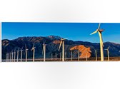 WallClassics - PVC Schuimplaat- Rij Windmolens bij Bergen - 60x20 cm Foto op PVC Schuimplaat