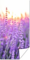 Poster Lavendel - Close-up - Paars - Bloemen - 60x120 cm