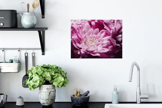 Poster Fleurs - Rose - Nature - 40x30 cm