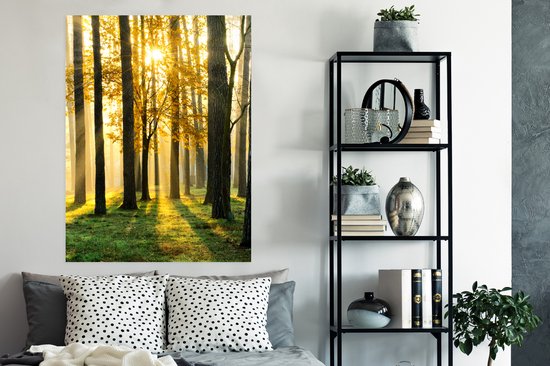 Affiche Forêt - Soleil - Arbres - Herbe - Paysage - Nature - 90x120 cm