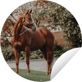 Tuincirkel Paard - Boom - Halster - 60x60 cm - Ronde Tuinposter - Buiten
