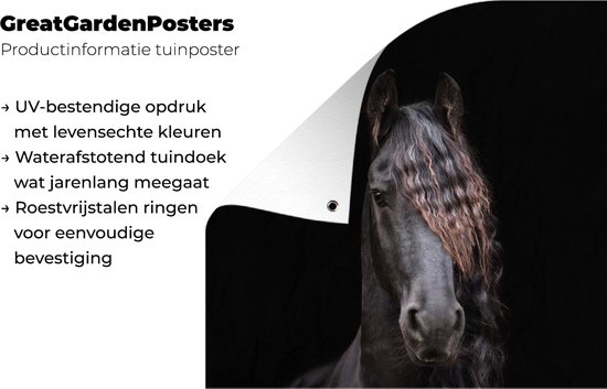 Portrait d'un cheval frison sur fond noir affiche de jardin toile en vrac 60x90 cm - Toile de jardin / Toile d'extérieur / Peintures d'extérieur (décoration de jardin)