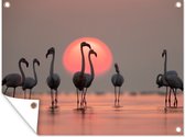 Tableau de jardin Vogel - Flamingo - Coucher de soleil - Rose - 80x60 cm - Poster de jardin