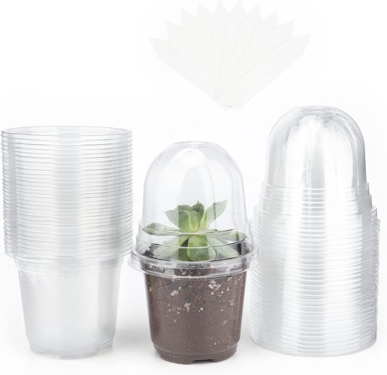 Nature plantcontainer orchidee transparant D 12 H 11 cm kopen