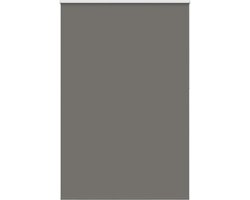 vidaXL - Rolgordijn - verduisterend - 150x210 - cm - stofbreedte - 146,6 - cm - grijs
