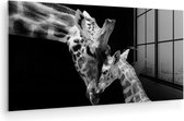 Glasschilderij - Foto op glas - Wilde dieren - Giraffe - Familie - Zwart - Wit - Acrylglas - 80x40 cm - Glasschilderij giraffe - Wanddecoratie dieren - Schilderij glas