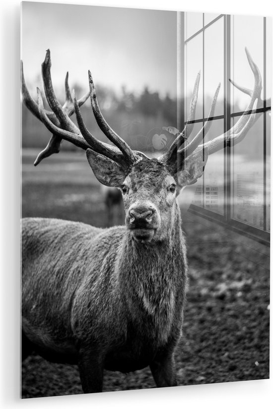 Peinture sur verre - Photo sur verre - Animaux - Cerfs - Bois - Forêt - Nature - 120x160 cm - Verre acrylique - Verre de Décoration murale murale - Peinture sur verre cerf - Peinture sur verre animaux - Décoration de chambre