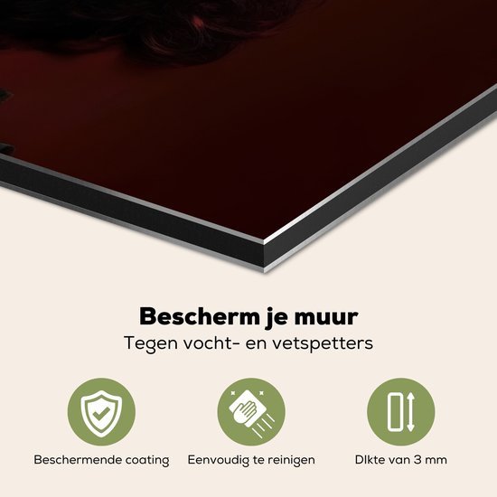 Crédence de Cuisinière en Aluminium 70x50 cm - Femme - litchi - exotique - Écran Pare-éclaboussures pour Plaque de Cuisson - Protection Murale