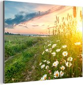 Décoration murale Métal - Peinture Aluminium Industriel - Fleurs - Marguerite - Nature - Soleil - Horizon - 160x120 cm - Dibond - Photo sur aluminium - Décoration murale industrielle - Pour le salon/chambre