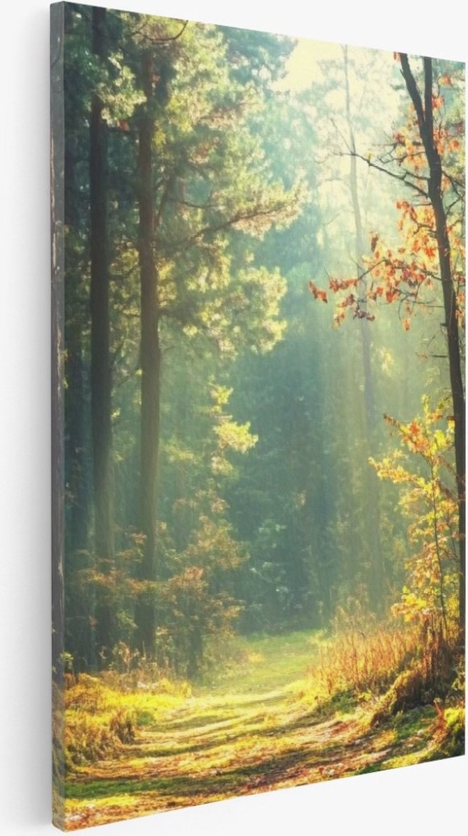 Saammp Canvas Schilderij - Botanisch - Bos - Herfstachtig - Landschap - Natuur - 80x120 - Foto op canvas - Wanddecoratie - Muurdecoratie Woonkamer - Slaapkamer decoratie - Canvas Print Multicolor