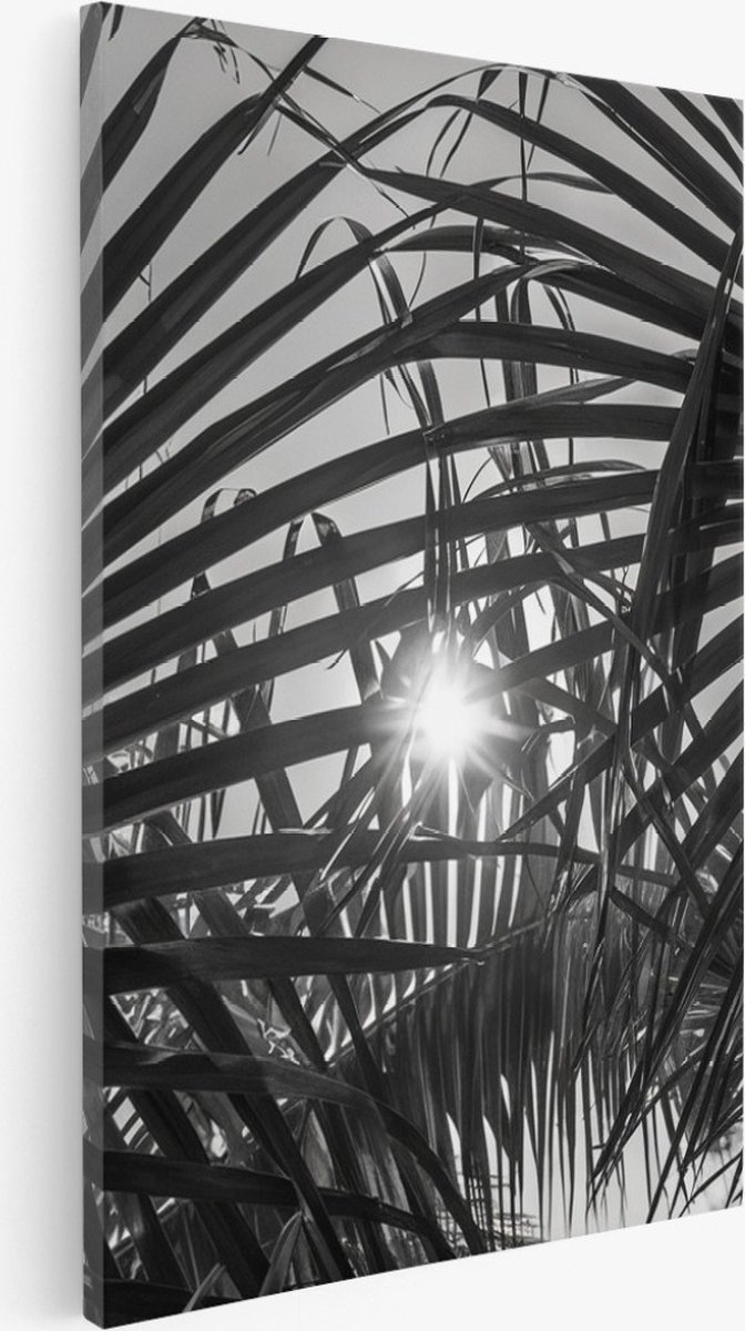 Saammp Canvas Schilderij - Zon tussen de planten - Zwart-Wit - Landschap - Natuur - 100x150 - Foto op canvas - Wanddecoratie - Muurdecoratie Woonkamer - Slaapkamer decoratie - Canvas Print Multicolor