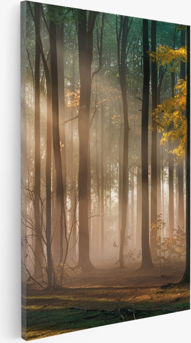 Saammp Canvas Schilderij - Bos met zonneschijn- Landschap - Bloemen - Natuur - 30x40 - Foto op canvas - Wanddecoratie - Muurdecoratie Woonkamer - Slaapkamer decoratie - Canvas Print Multicolor