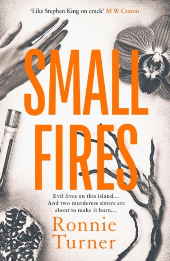 Small Fires - cover