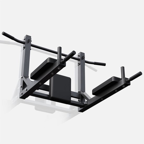 Bad Company Dip-station voor wandmontage I dips-bars voor bevestiging aan de muur voor het homegym I Parallettes I BCA-46