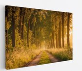 120 cm x 80 cm
