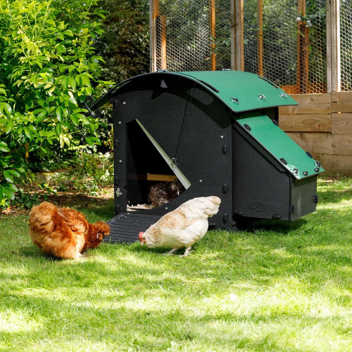 Nestera House - Kippenhok - 2 tot 4 kippen - Zwart/Groen - 78x78x76 cm - S