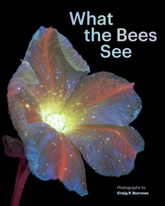 What the Bees See - cover