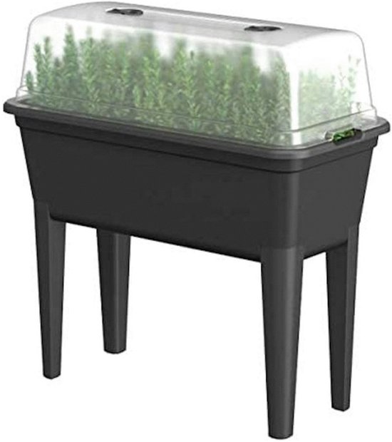 Zwarte kweekbak met transparante kap, met planten.