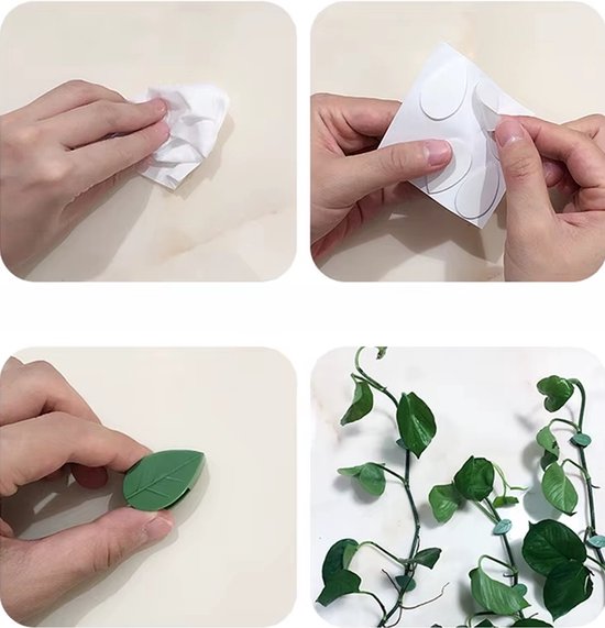 Instructie van hoe de plantenclips te gebruiken: oppervlak schoonmaken, sticker verwijderen en de clip op de plant of draad bevestigen.