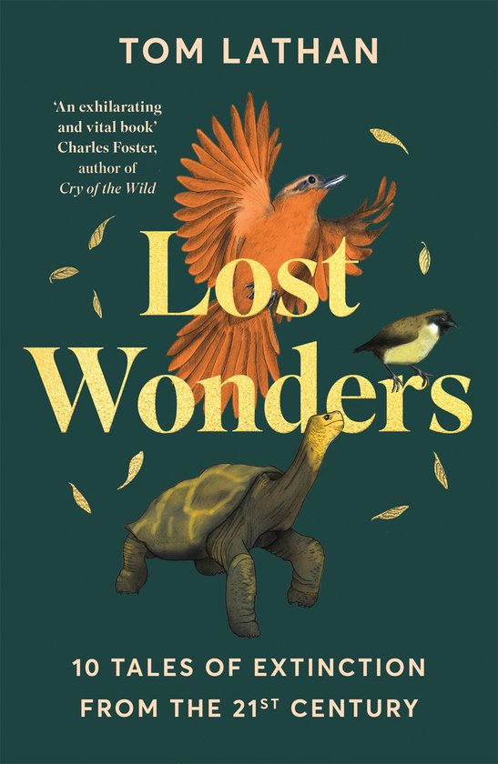 Lost Wonders - cover